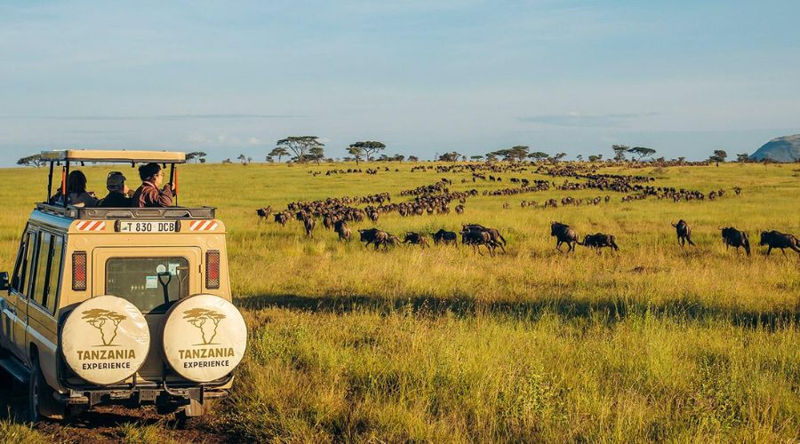 Serengeti National Park