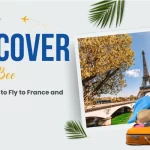 Discover French Bee
